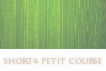 LINK-petitCOURSE