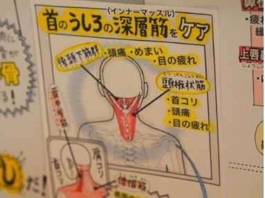東京の高級理容室の求人｜新感覚理容室LINK（リンク）