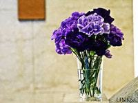 img20150506192447920471.jpg