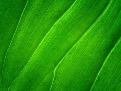 個室理容室の特許増毛法「ヘアプラス」新感覚理容室LINK(リンク)目黒駅前徒歩1分